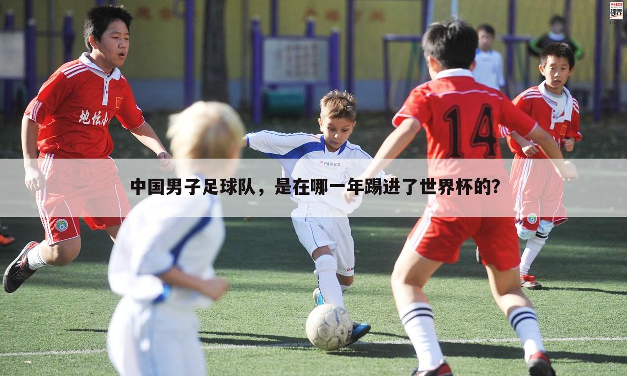 中国男子足球队，是在哪一年踢进了世界杯的？