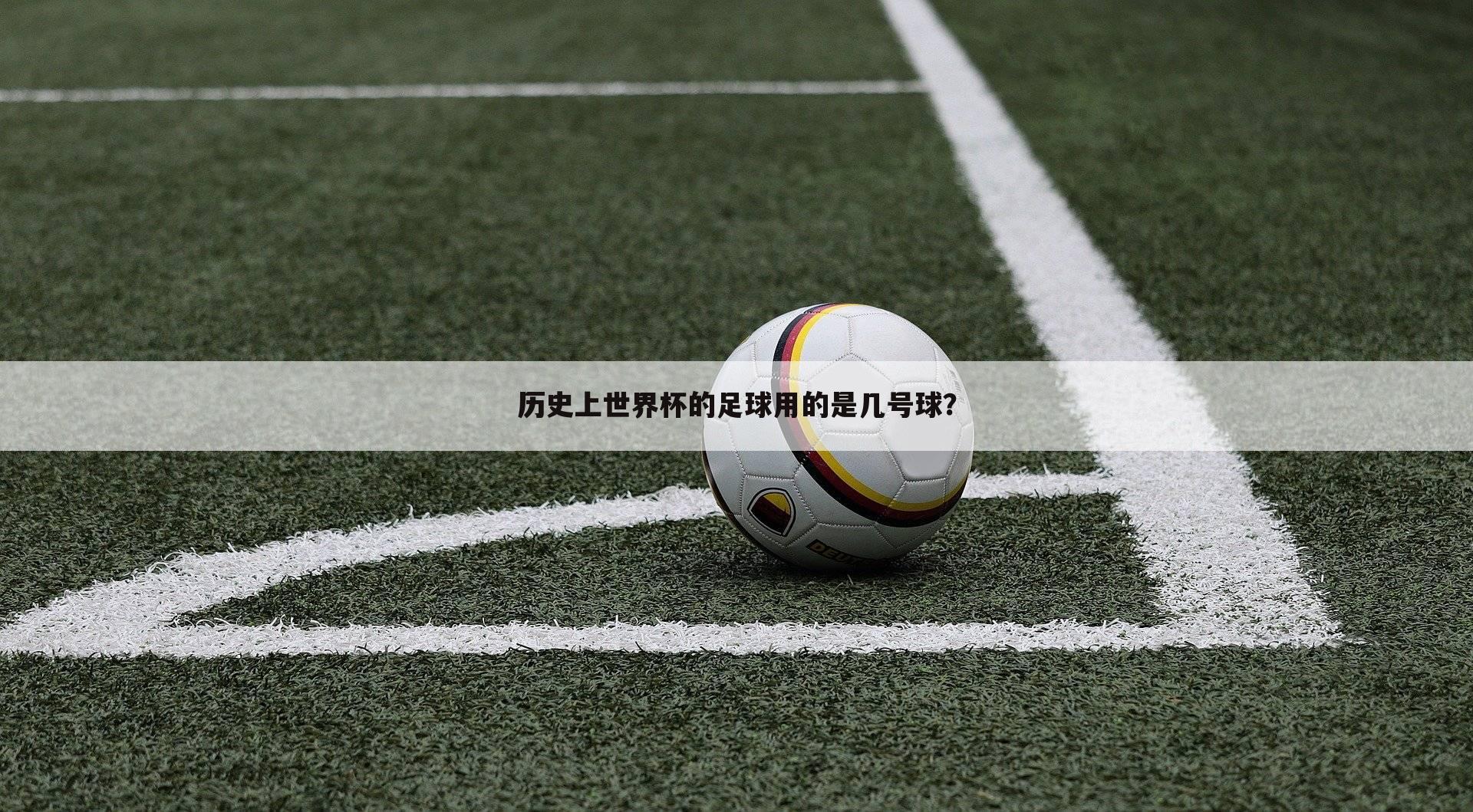 历史上世界杯的足球用的是几号球？