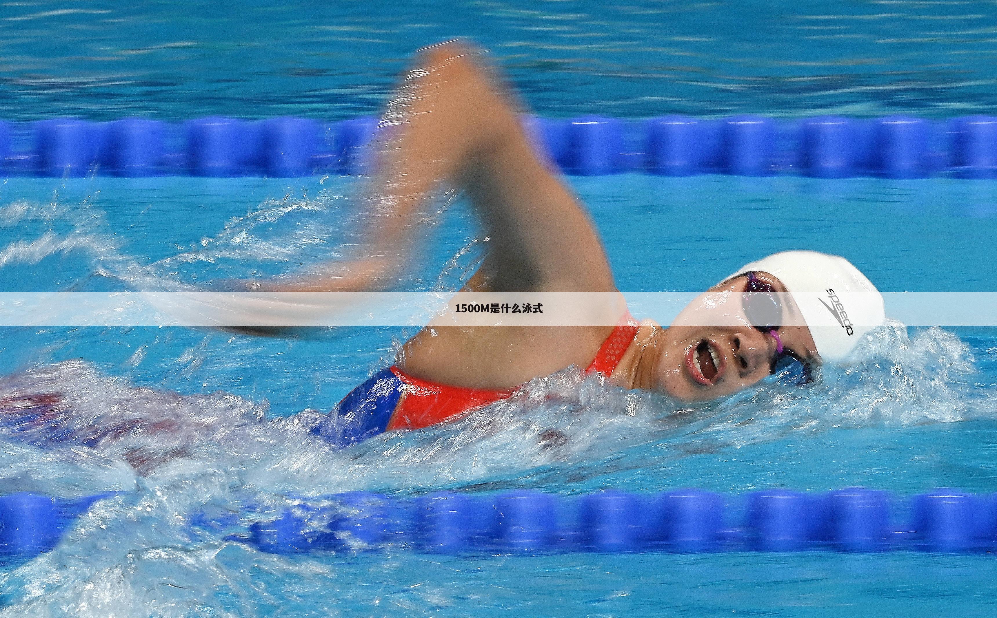 「世界游泳锦标赛1500米是什么泳式」