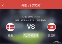 今日足球 ：丹麦 VS 突尼斯